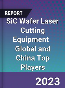 SiC Wafer Laser Cutting Equipment Global and China Top Players Market