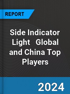 Side Indicator Light Global and China Top Players Market