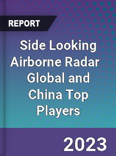 Side Looking Airborne Radar Global and China Top Players Market