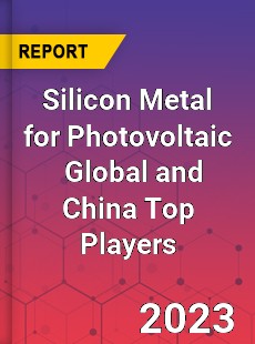 Silicon Metal for Photovoltaic Global and China Top Players Market