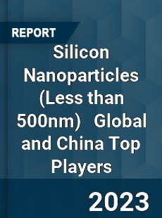 Silicon Nanoparticles Global and China Top Players Market