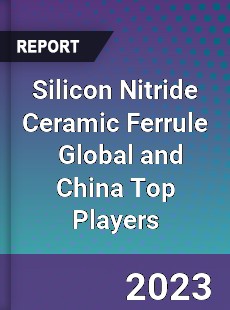 Silicon Nitride Ceramic Ferrule Global and China Top Players Market