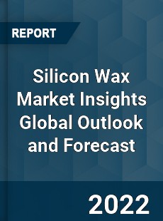 Silicon Wax Market Insights Global Outlook and Forecast