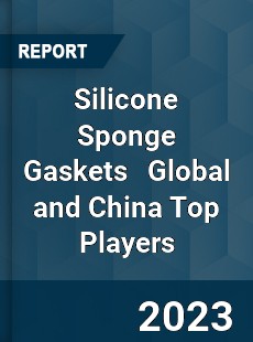 Silicone Sponge Gaskets Global and China Top Players Market