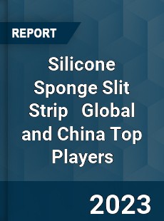 Silicone Sponge Slit Strip Global and China Top Players Market