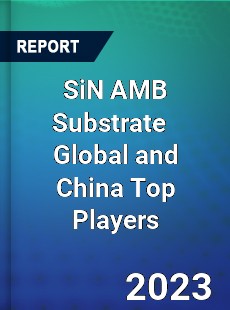 SiN AMB Substrate Global and China Top Players Market