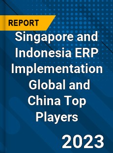 Singapore and Indonesia ERP Implementation Global and China Top Players Market