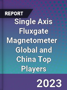 Single Axis Fluxgate Magnetometer Global and China Top Players Market