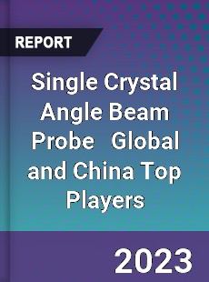 Single Crystal Angle Beam Probe Global and China Top Players Market