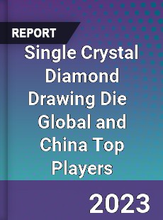 Single Crystal Diamond Drawing Die Global and China Top Players Market