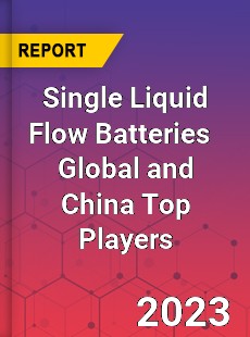 Single Liquid Flow Batteries Global and China Top Players Market