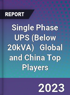 Single Phase UPS Global and China Top Players Market