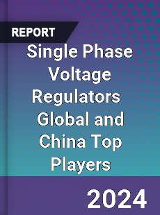 Single Phase Voltage Regulators Global and China Top Players Market