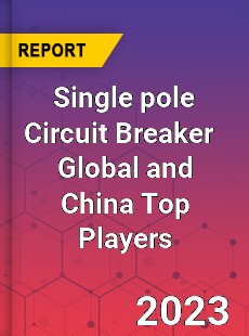 Single pole Circuit Breaker Global and China Top Players Market