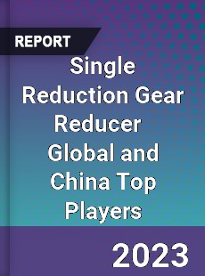 Single Reduction Gear Reducer Global and China Top Players Market