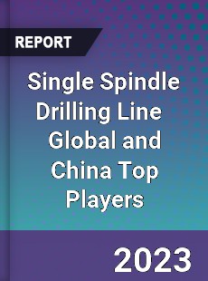 Single Spindle Drilling Line Global and China Top Players Market