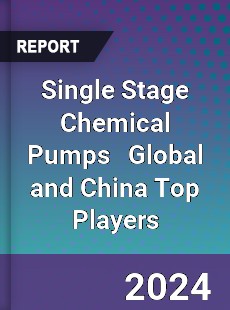 Single Stage Chemical Pumps Global and China Top Players Market