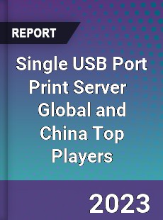 Single USB Port Print Server Global and China Top Players Market