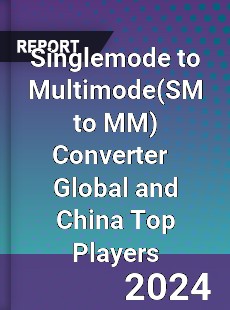 Singlemode to Multimode Converter Global and China Top Players Market