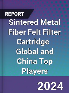 Sintered Metal Fiber Felt Filter Cartridge Global and China Top Players Market