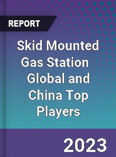 Skid Mounted Gas Station Global and China Top Players Market