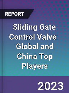 Sliding Gate Control Valve Global and China Top Players Market