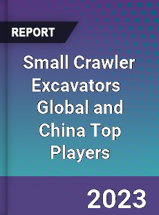 Small Crawler Excavators Global and China Top Players Market