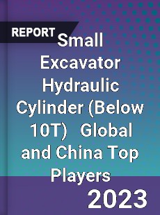 Small Excavator Hydraulic Cylinder Global and China Top Players Market