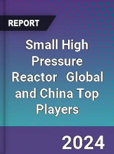 Small High Pressure Reactor Global and China Top Players Market