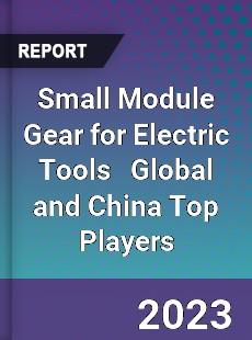 Small Module Gear for Electric Tools Global and China Top Players Market