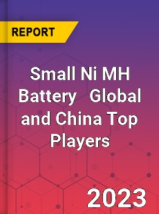 Small Ni MH Battery Global and China Top Players Market