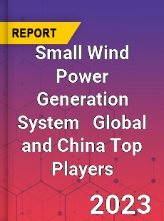 Small Wind Power Generation System Global and China Top Players Market