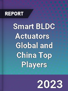 Smart BLDC Actuators Global and China Top Players Market