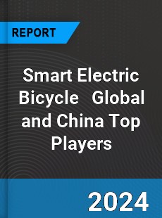 Smart Electric Bicycle Global and China Top Players Market