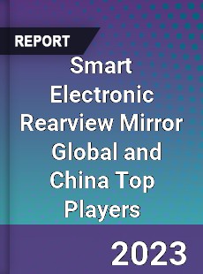 Smart Electronic Rearview Mirror Global and China Top Players Market