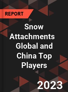 Snow Attachments Global and China Top Players Market