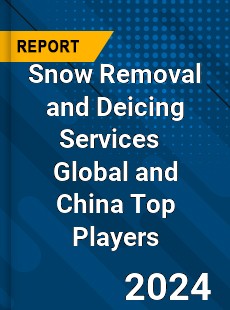 Snow Removal and Deicing Services Global and China Top Players Market