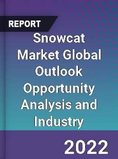 Snowcat Market Global Outlook Opportunity Analysis and Industry