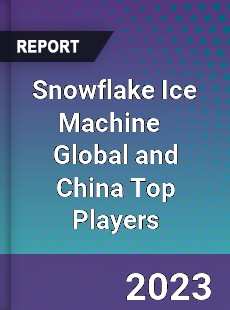 Snowflake Ice Machine Global and China Top Players Market