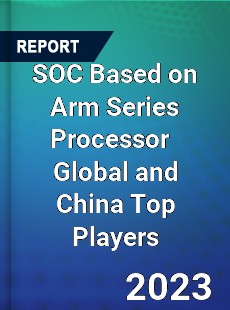 SOC Based on Arm Series Processor Global and China Top Players Market