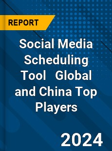 Social Media Scheduling Tool Global and China Top Players Market