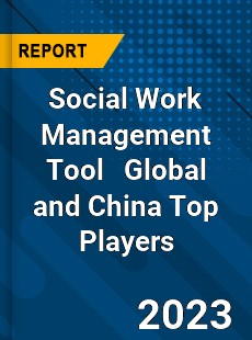 Social Work Management Tool Global and China Top Players Market