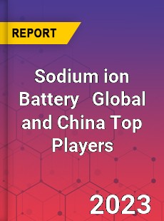 Sodium ion Battery Global and China Top Players Market