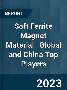 Soft Ferrite Magnet Material Global and China Top Players Market