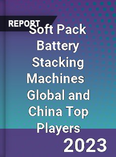 Soft Pack Battery Stacking Machines Global and China Top Players Market