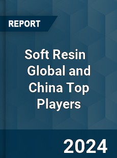 Soft Resin Global and China Top Players Market