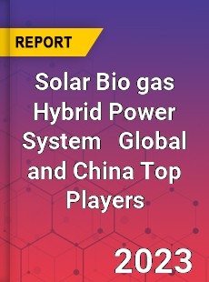 Solar Bio gas Hybrid Power System Global and China Top Players Market