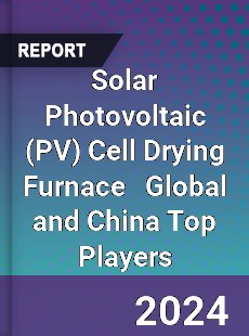 Solar Photovoltaic Cell Drying Furnace Global and China Top Players Market