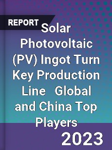 Solar Photovoltaic Ingot Turn Key Production Line Global and China Top Players Market