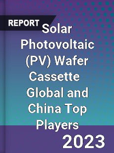 Solar Photovoltaic Wafer Cassette Global and China Top Players Market